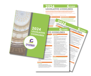 2024 Legislative Guideline preview 