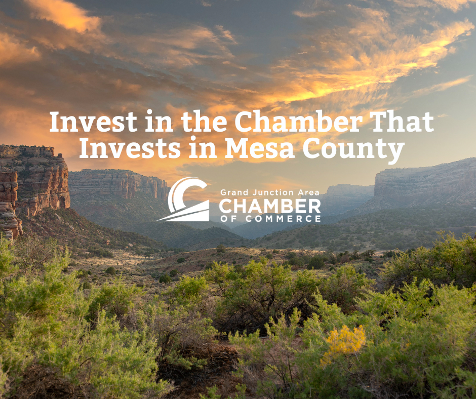 Invest in the Chamber