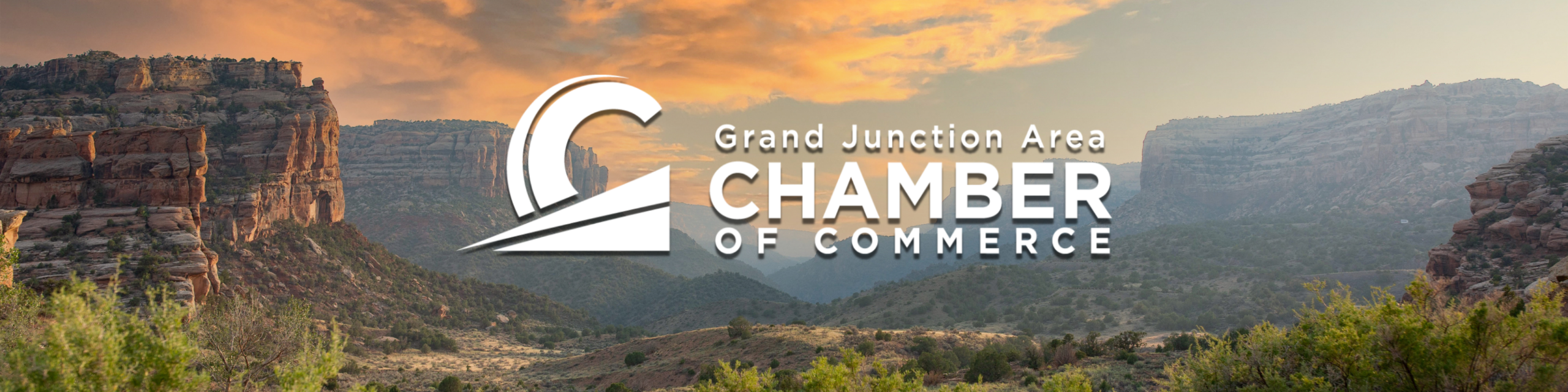 Website Header with Chamber Logo